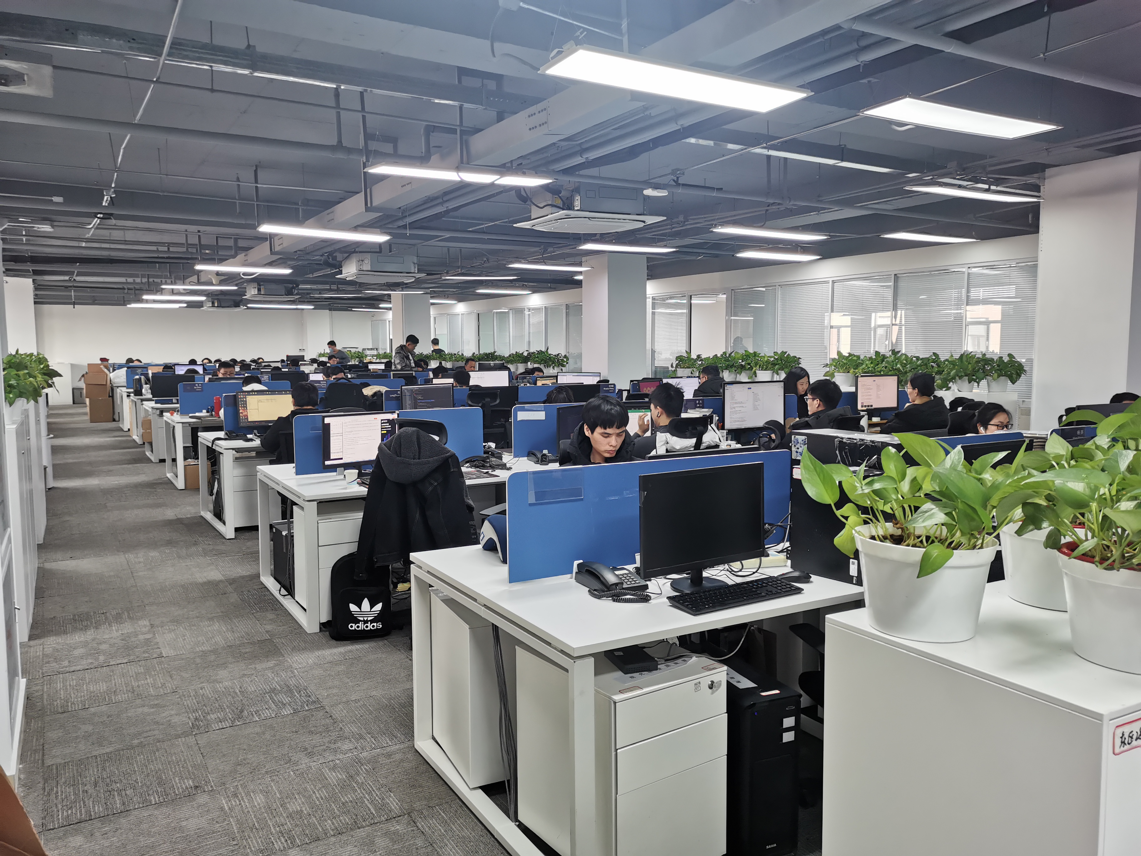 识别|身份证ocr识别|身份证识别sdk|身份证识别开发包|身份证识别软件