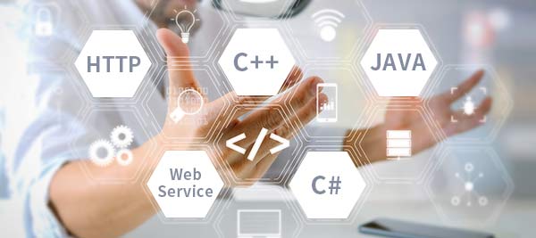 Proporciona integración para desarrollo de sistemas de terceros mediante API estándar HTTP y WebService.