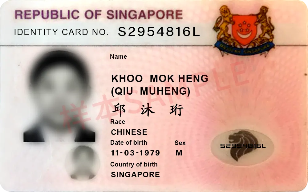 图片显示处