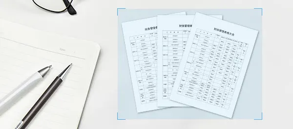 財報識別