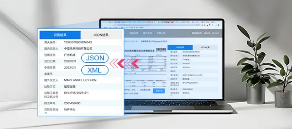 返回JSON、XML識別結果